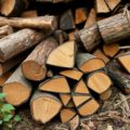 Колотые дрова для растопки: как выбрать, хранить и правильно использовать