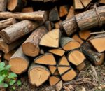 Колотые дрова для растопки: как выбрать, хранить и правильно использовать